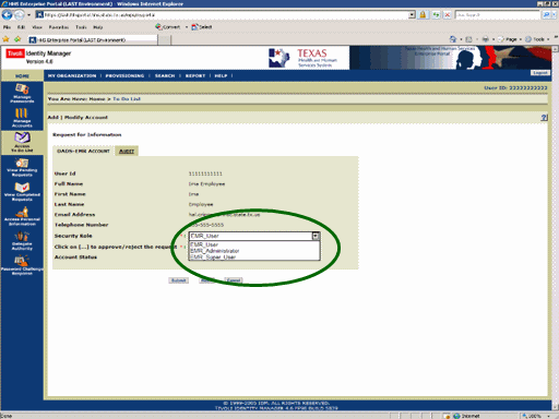 Screenshot of Request for Information page